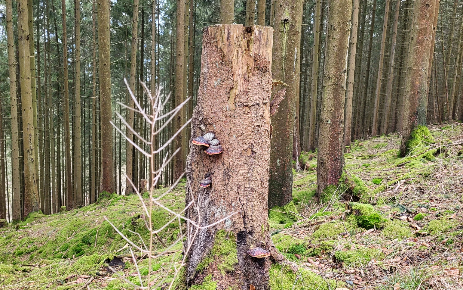 Wandern zu jeder Jahreszeit