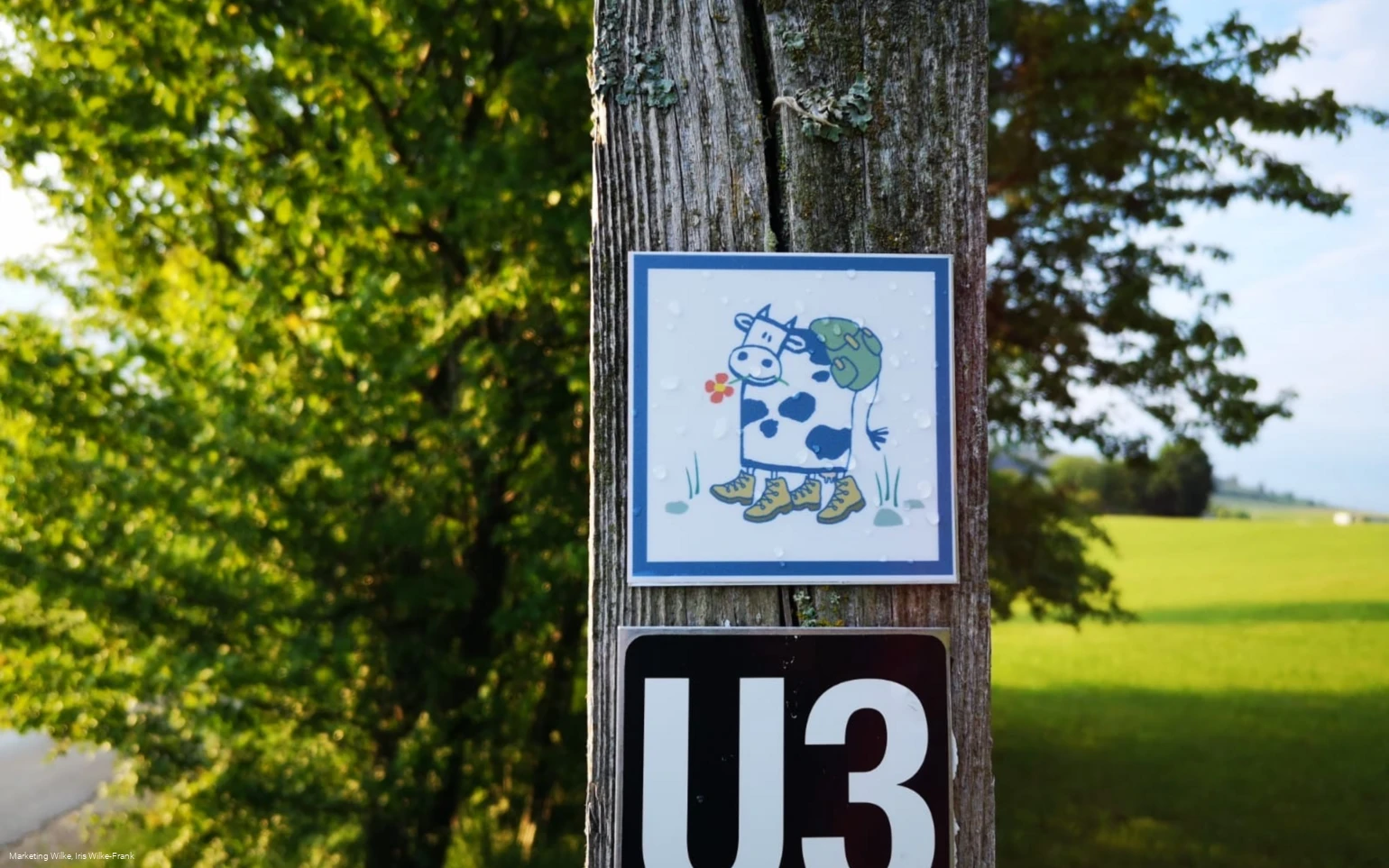 Markierung Milch-Erlebnispfad