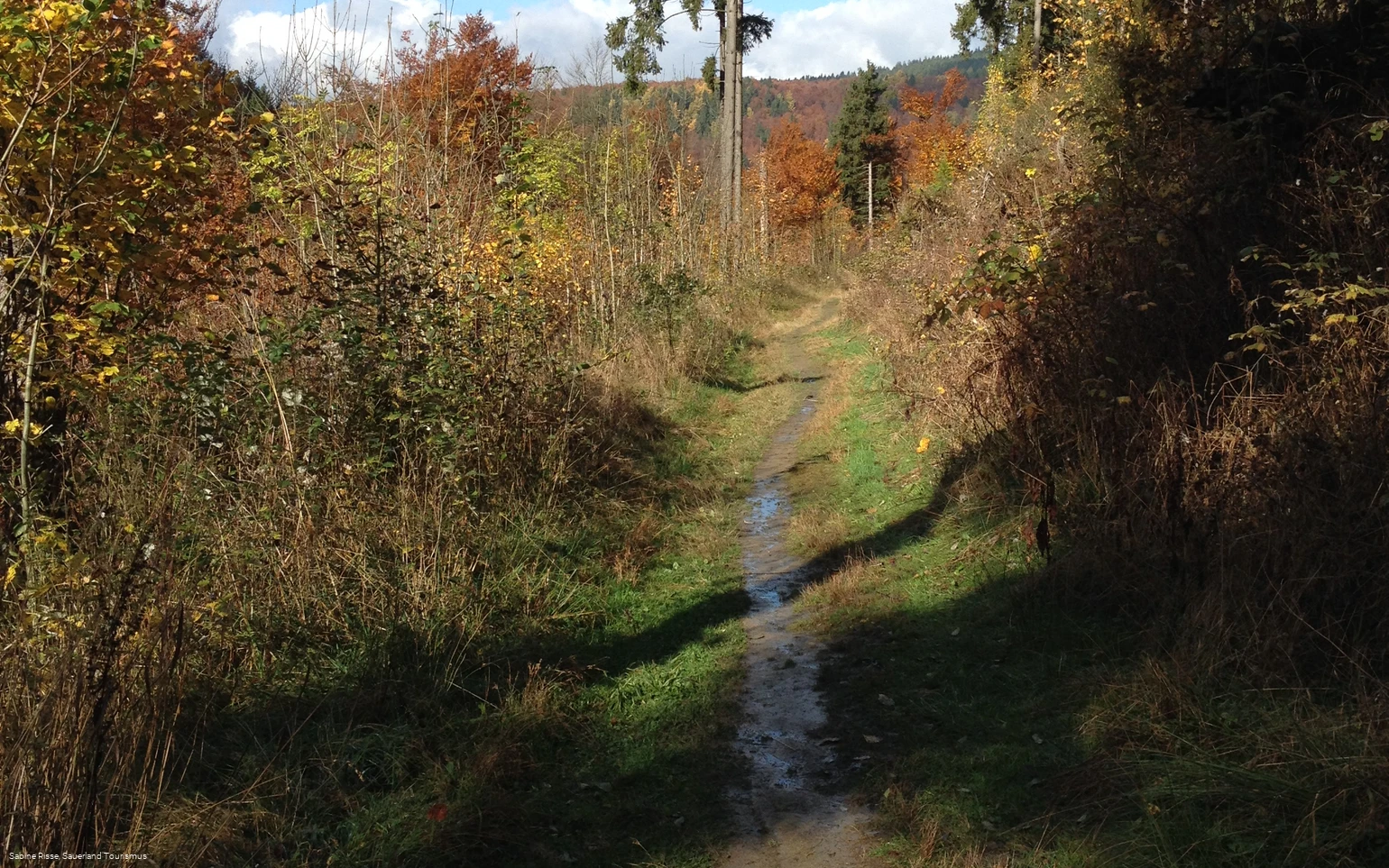 Wandern rund um Latrop