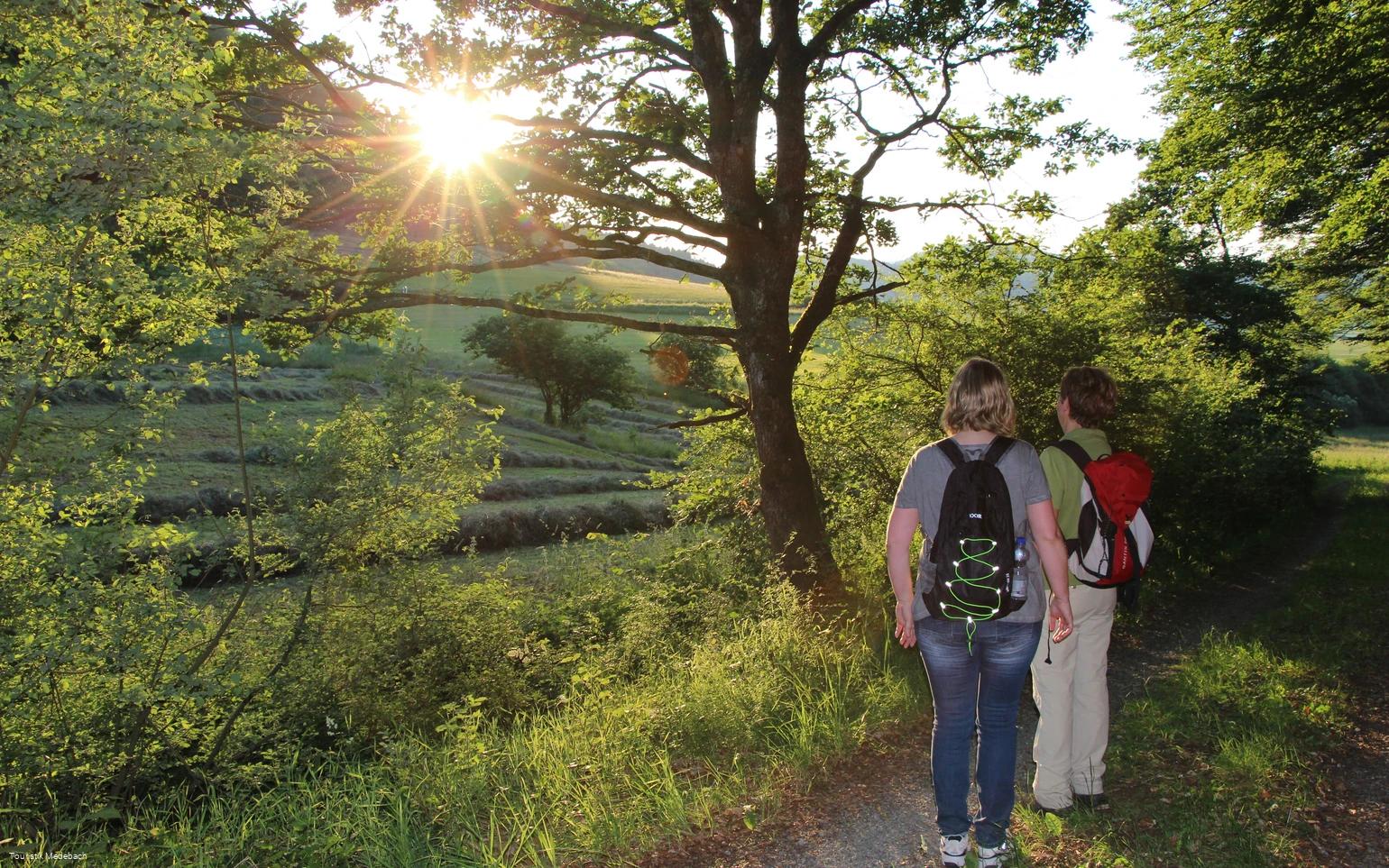Unterwegs auf dem Medebacher Bergweg