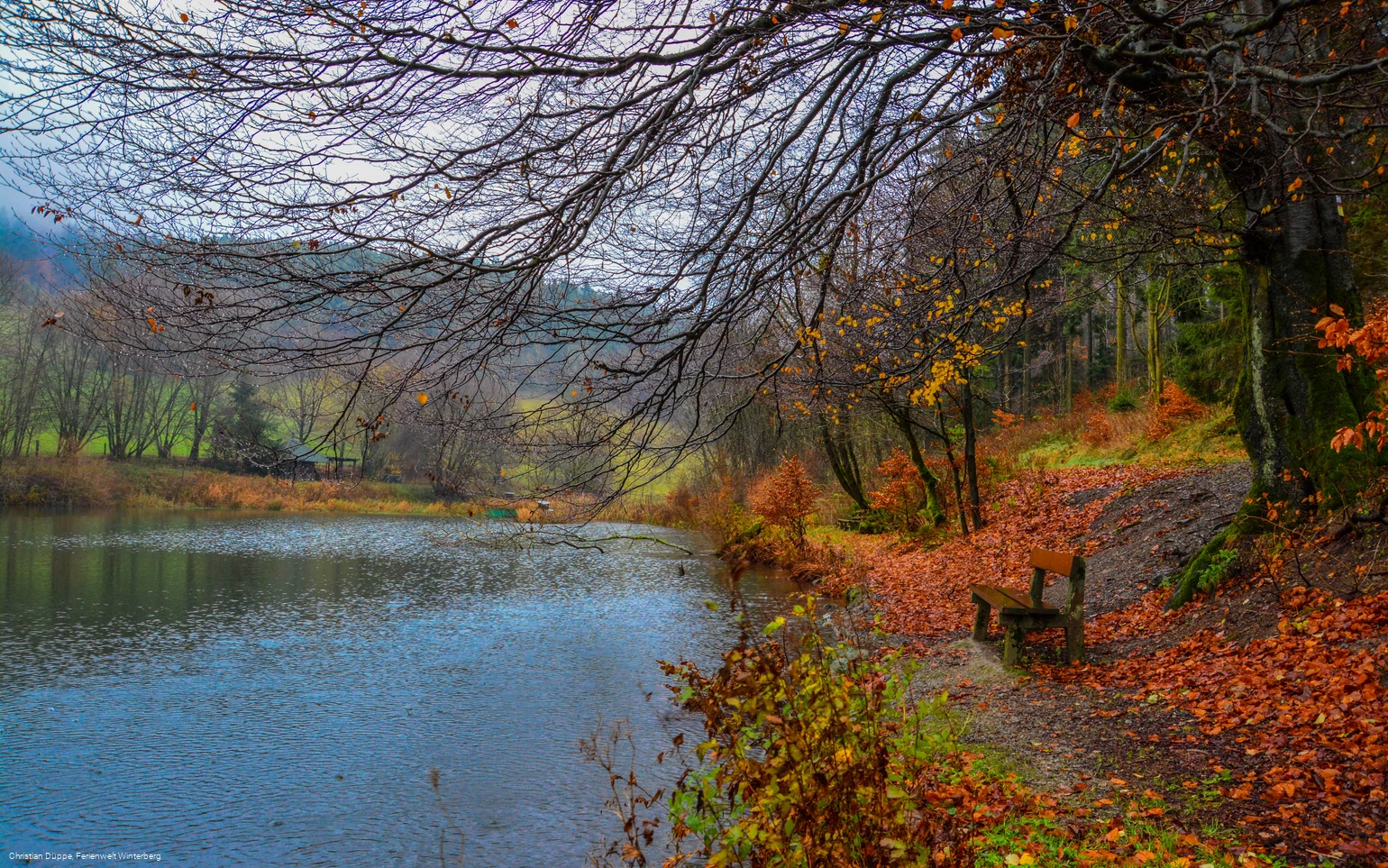 See Hildfeld Herbst