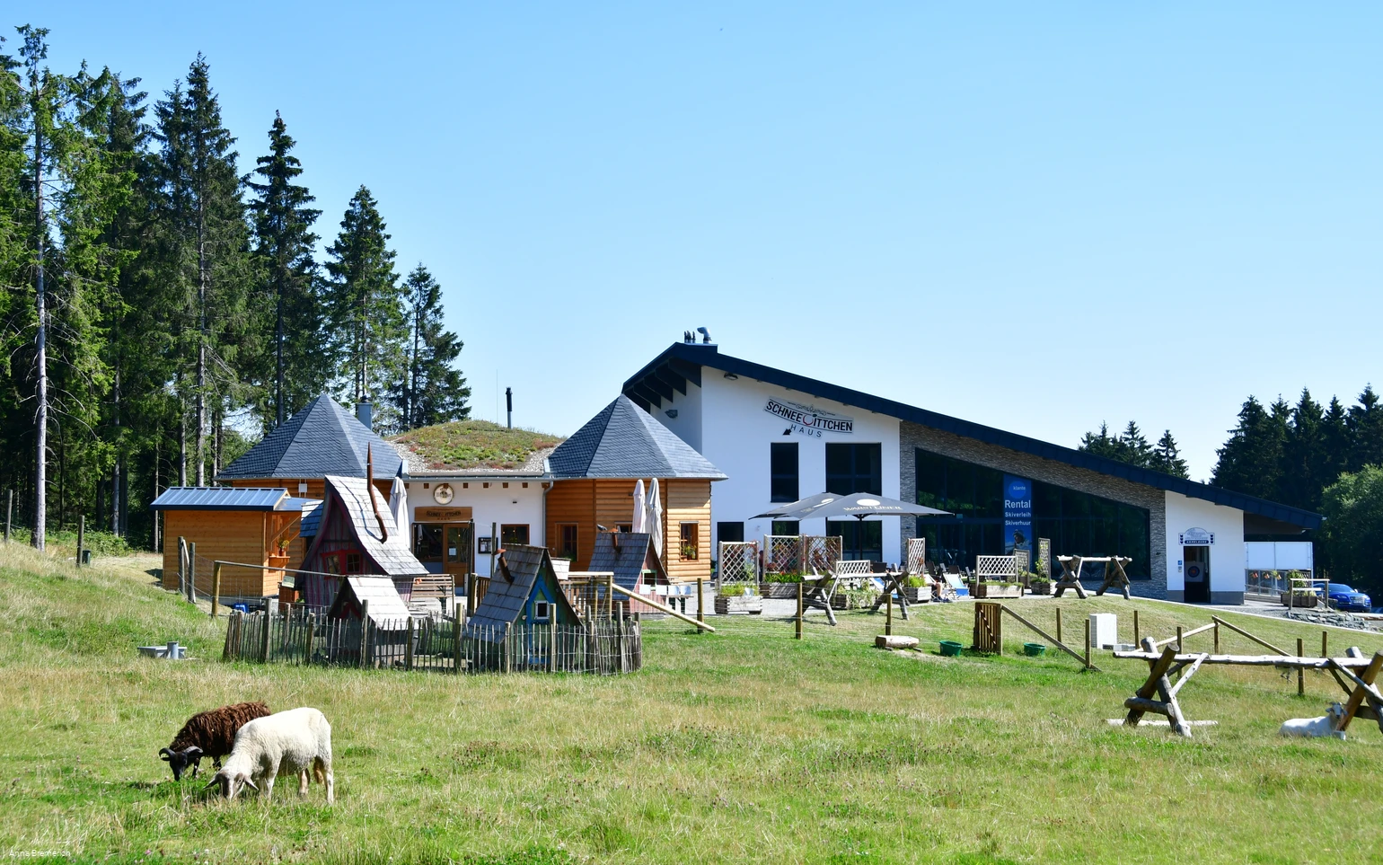 Schneewittchenhaus Winterberg_Außenansicht mit Streichelzoo_2024.jpg