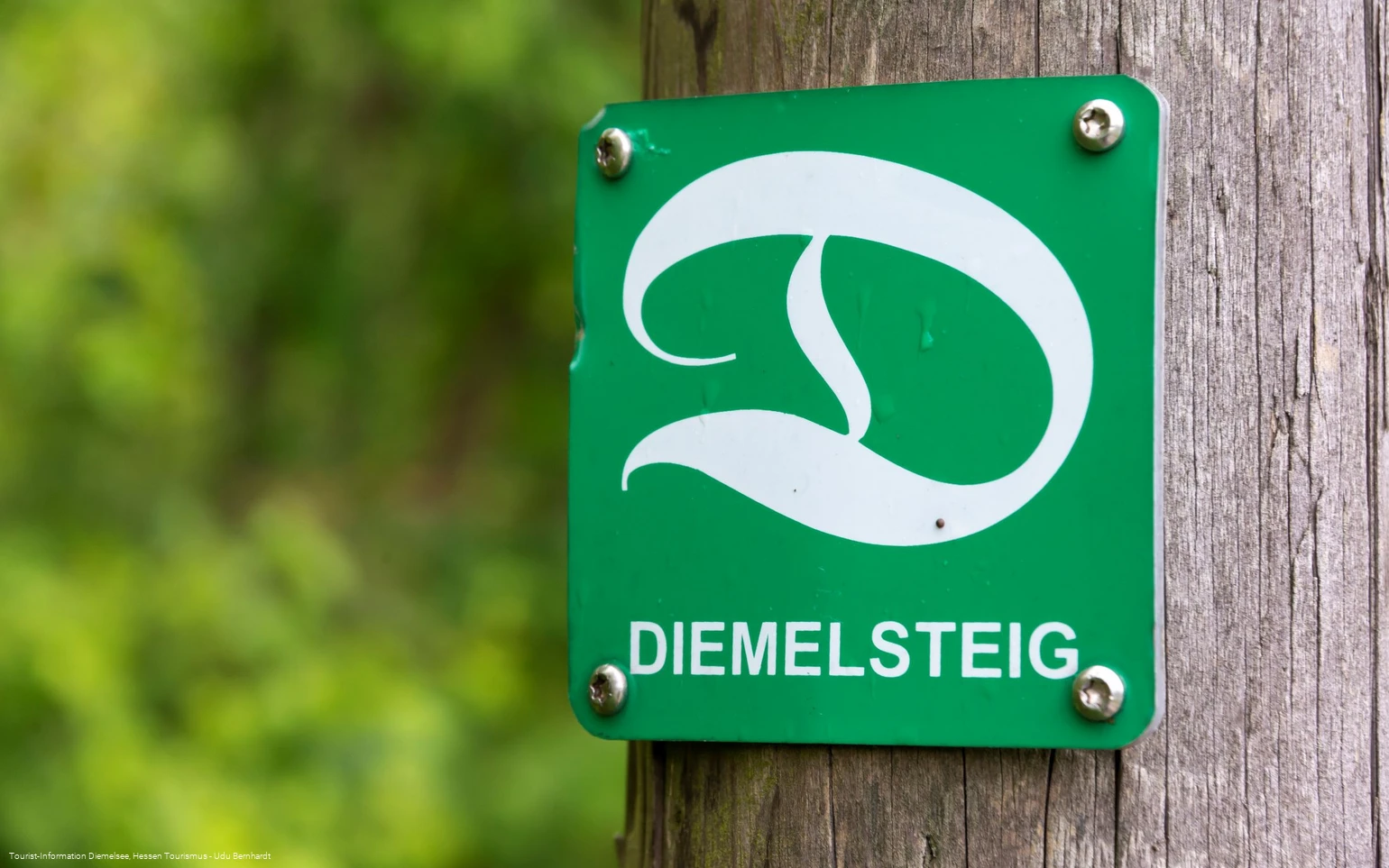 Diemelsteig