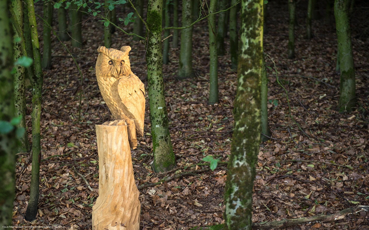 Geschnitzte Eule an der Fotoroute Oberhenneborn