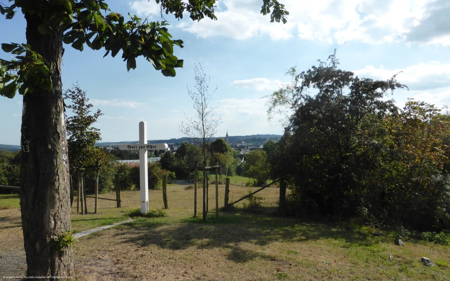 Blick vom Weddel auf Medebach