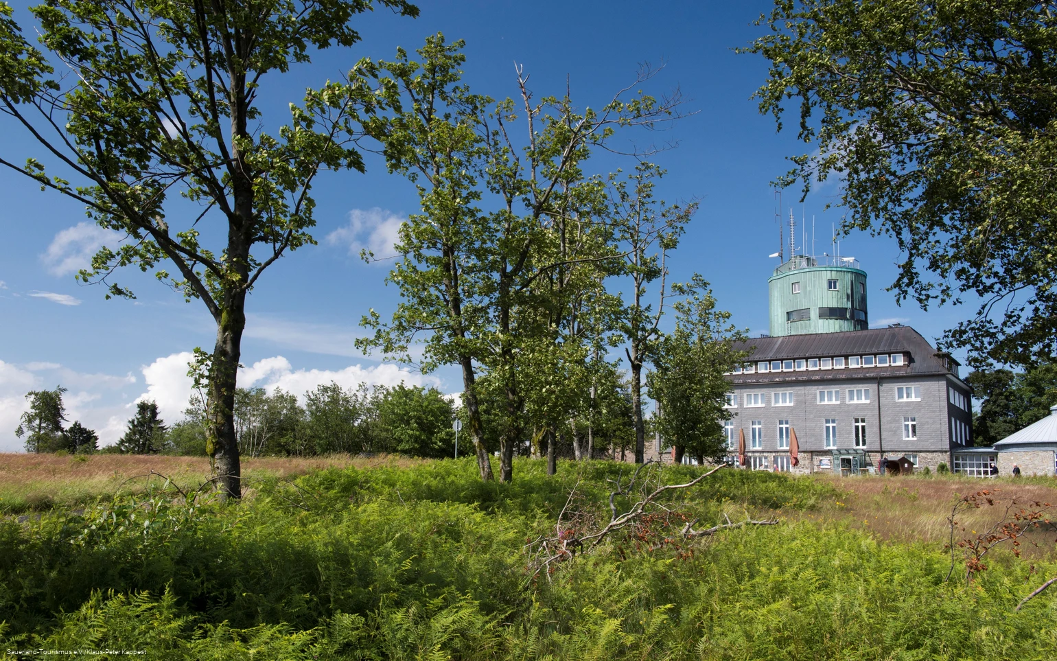 Kahler Asten Turm