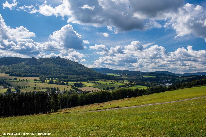 Weiter Blick auf die sommerliche Landschaft mit den Bruchhauser Steinen an der Friedenskapelle