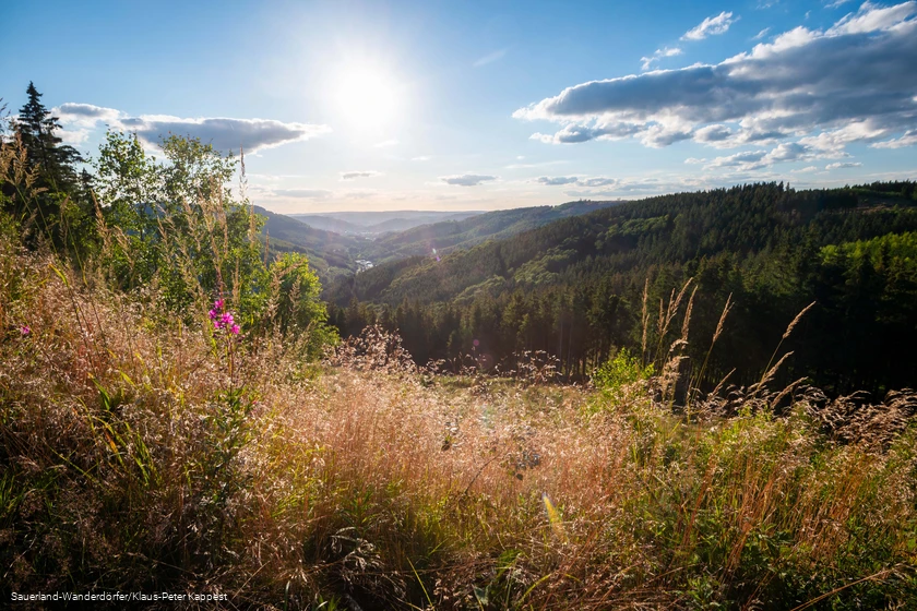 Blick ins Tal mit leichten Sommerwolken vom Ginsterkopf
