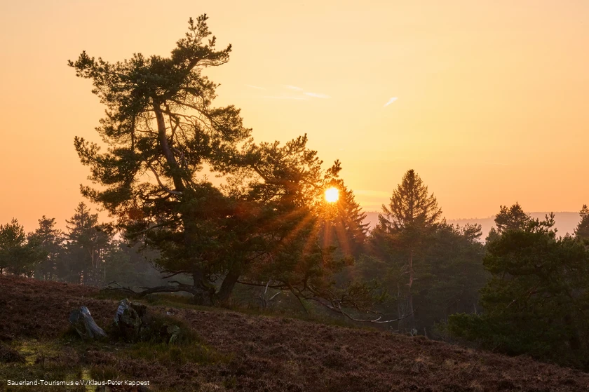 Sonnenuntergang auf der Hochheide Kahle P&ouml;n