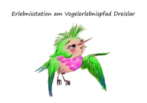 Erlebnisstation am Vogelerlebnispfad Dreislar