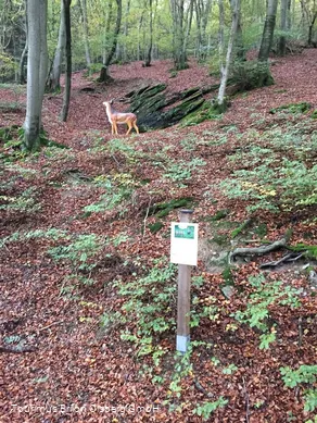 Erlebnisweg Drumecke