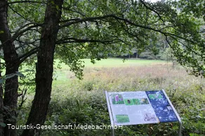 Infotafel 7 am Gewässerpfad Orke