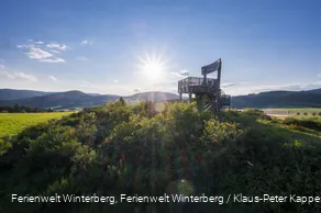 Ein Aussichtsturm in Form eines großen Holzstuhles auf einem bewaldeten Hügel vor blauem Himmel und Sonne inmitten von Wiesen und Wäldern.