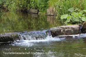 Die Orke bei Medebach-Medelon
