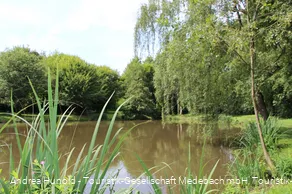 Weddelsee in Medebach