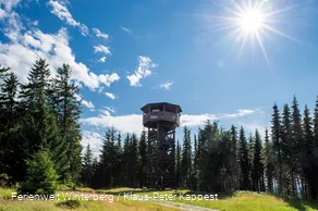 FerienweltWinterberg_2017_Ziegenhellenturm Züschen_Sommer_Klaus-Peter Kappest.jpg