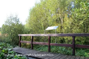 Infotafel 11 am Gewässerpfad Orke