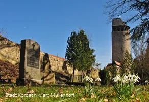 Fruehling Totenhagen Graeber Tylenturm
