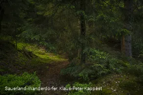 Steinbruch am Schinkenkeller