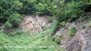 Geologischer Aufschluss - Niggenhuses Steinbruch