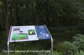 Infotafel 9 am Gewässerpfad Orke