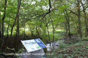 Infotafel 6 am Gewässerpfad Orke