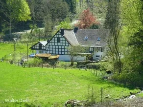 Ausflugsziel im Grünen