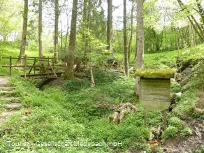 Die Orkequelle in Küstelberg