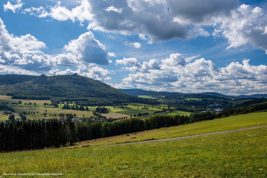 Weiter Blick auf die sommerliche Landschaft mit den Bruchhauser Steinen an der Friedenskapelle