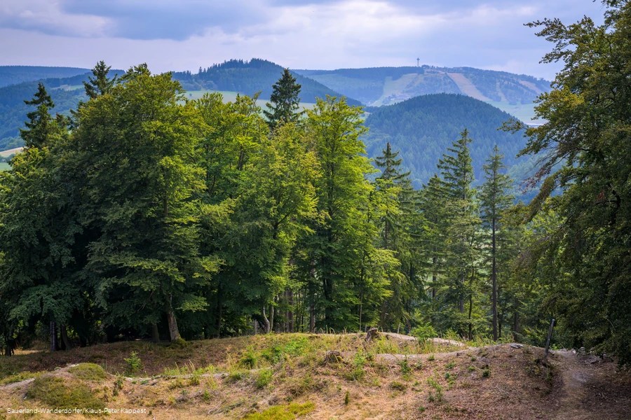 Weotblick auf den Ettelsberg vom Turm auf dem Gelände der Schwalenburg