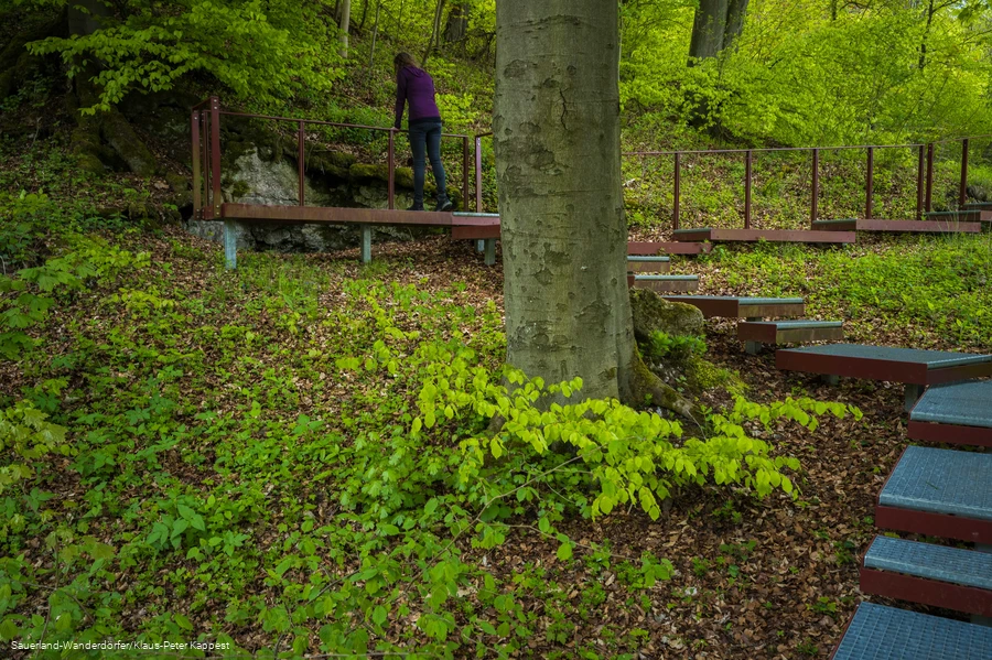 Stufenführen hinauf am Landschaftstherapeutischen Weg - der sogenannte Grottensteg