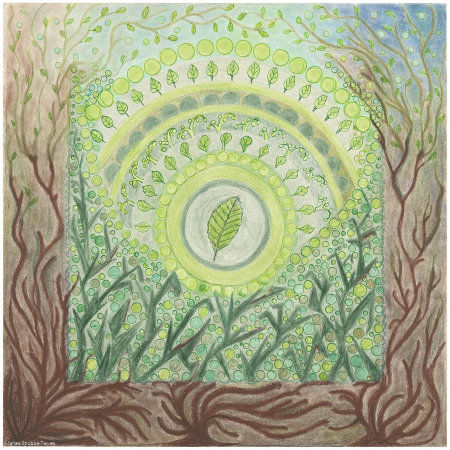 Zeichnung Kyrill Pfad