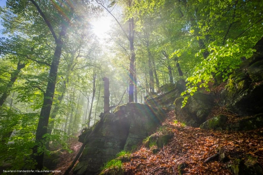 Hollenfelsen im Sonnenlicht