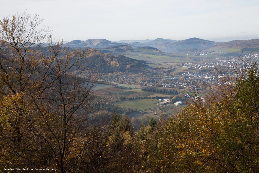 Blick vom Borberg