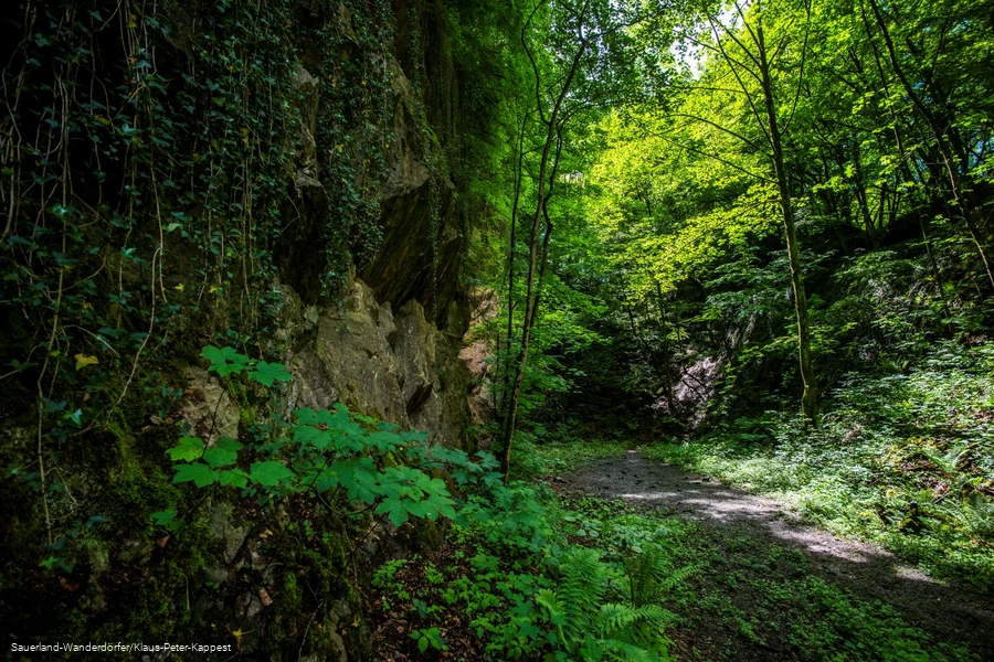 Einblick in den Steinbruch Peperburg