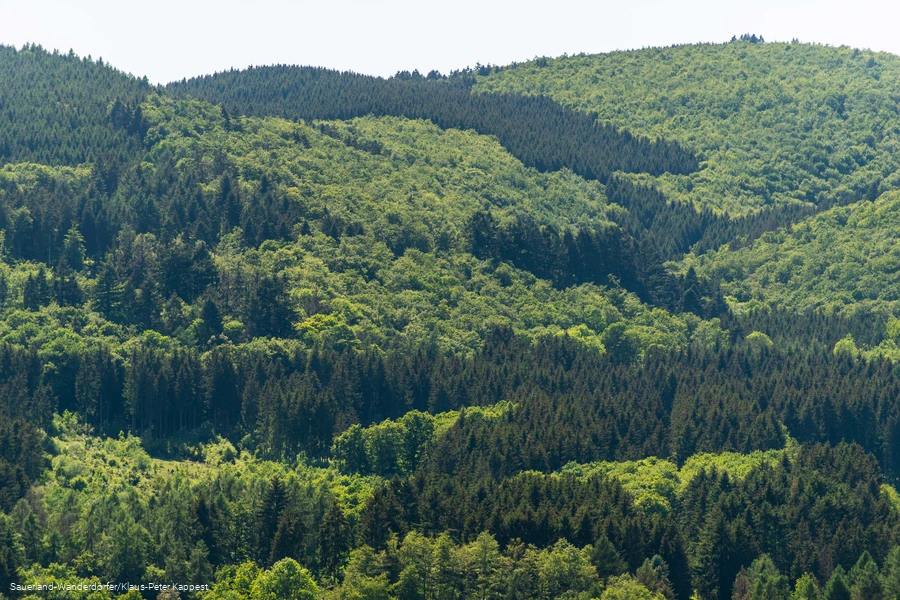 Blick auf die Himmelssäulen aus der Ferne
