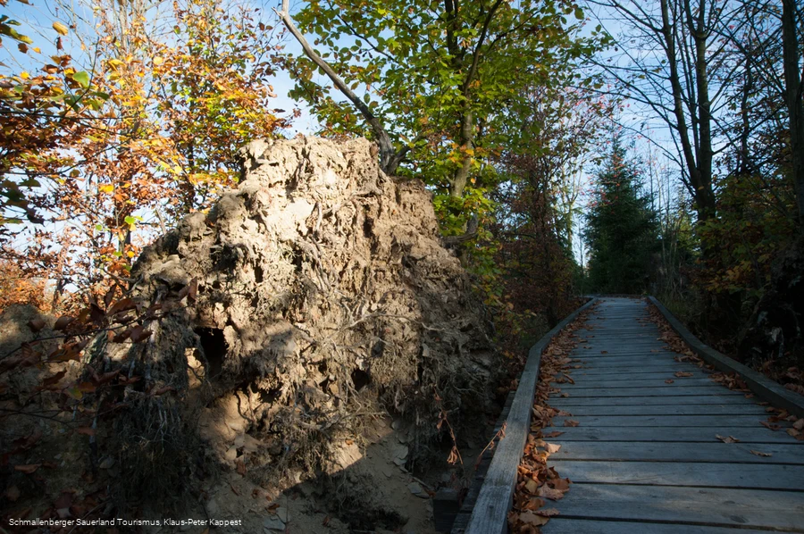 Kyrillpfad in der Abenddämmerung