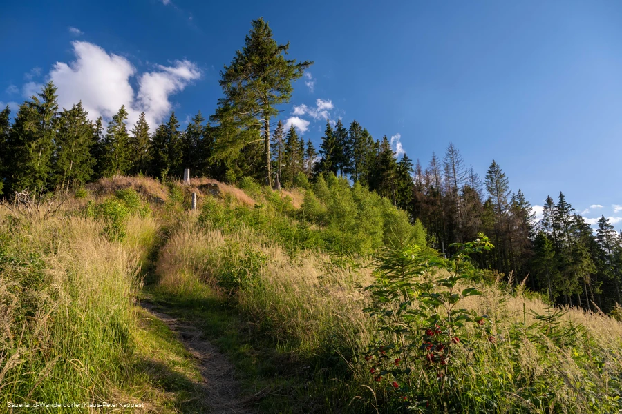 Schmaler Pfad auf den Ginsterkopf bei blauem Himmel