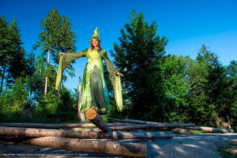 Waldfeenpfad Station 1