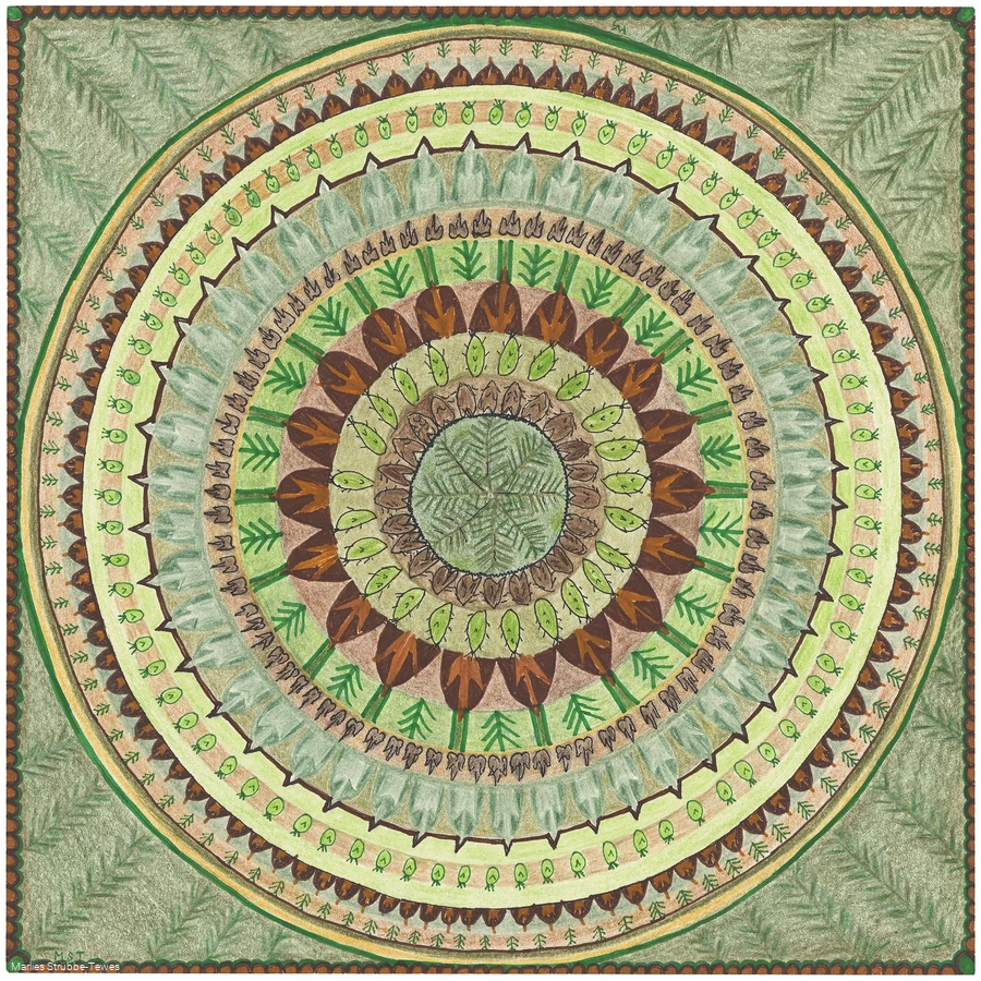 Mandala Douglasien.jpg
