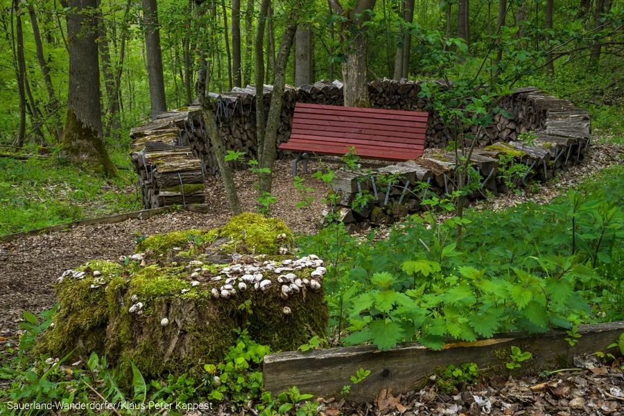 Eine rote Bank steht in einem Kreis aus Holzscheiten, die sogenannte Dichterlichtung