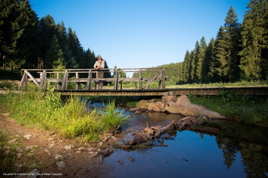 Im Schwarzbachtal steht einer der Ranger auf der Brücke