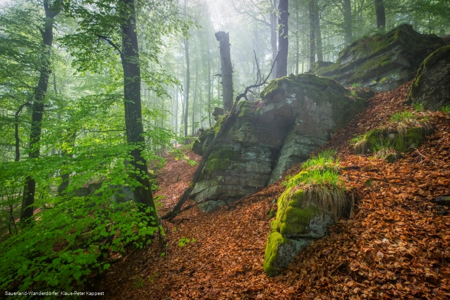 Unterhalb des Hollenfelsens bei B&ouml;defeld im Sauerland