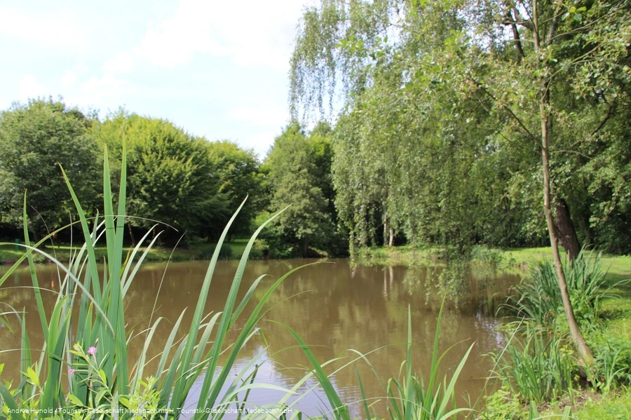 Weddelsee in Medebach