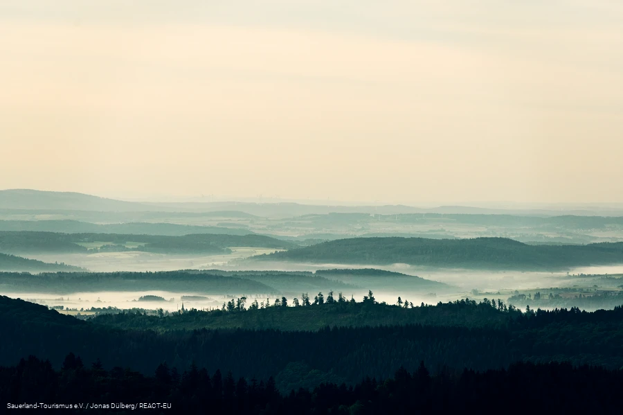 Nebel beim Sonnenaufgang am Krutenberg