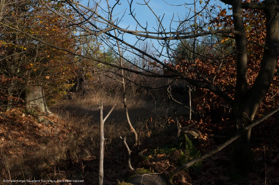 Kyrillpfad im Sauerland in der Herbstjahreszeit