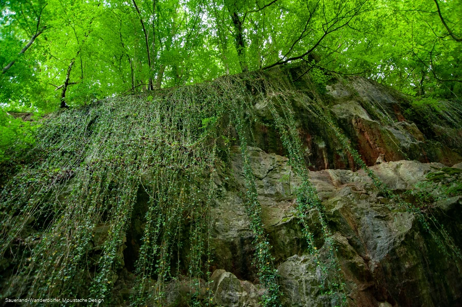 Blick nach oben auf die Felswand im Steinbruch Peperburg
