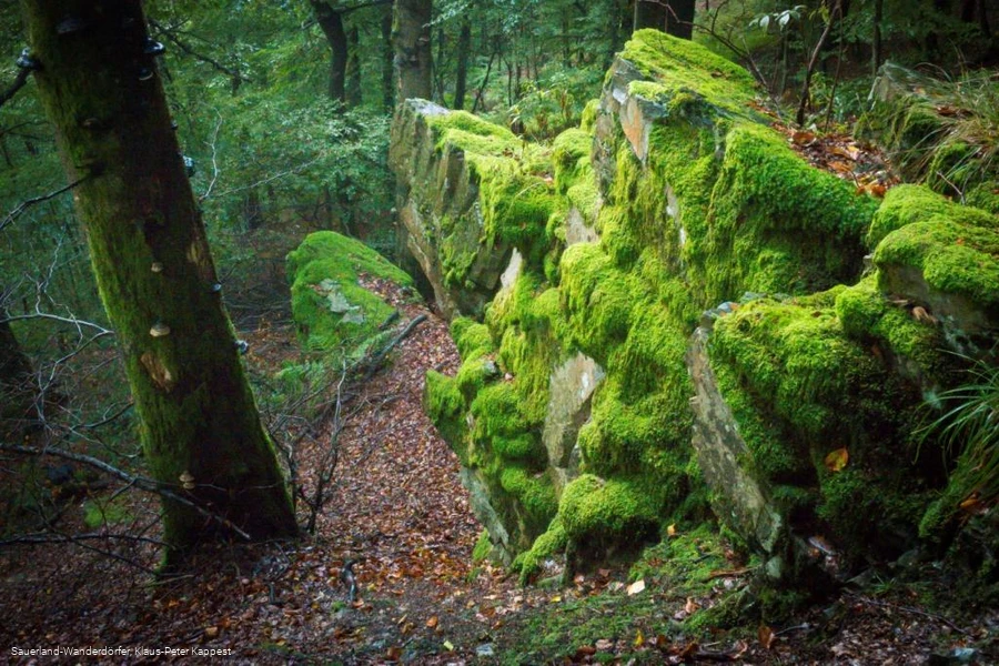 Mit Moos &uuml;berzogener Hollenfelsen in den Sauerland-Wanderd&ouml;rfern