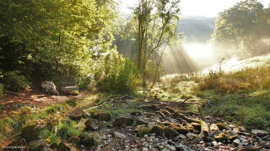 Bank an der Almequelle