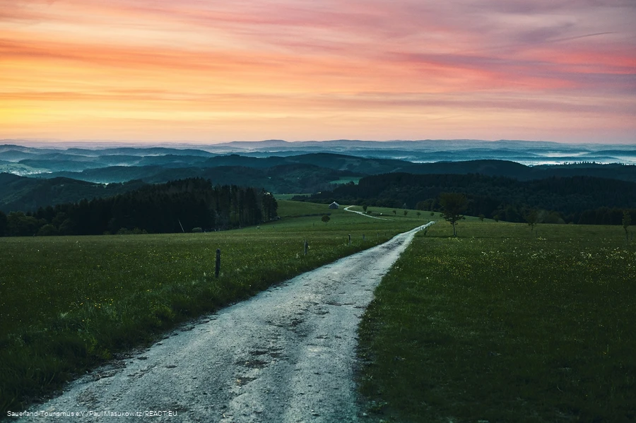 Sonnenaufgang am Krutenberg mit Weg im Hintergrund